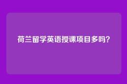 荷兰留学英语授课项目多吗？