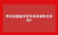 本科出国留学奖学金申请机会多吗？
