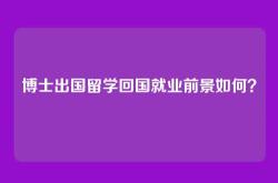 博士出国留学回国就业前景如何？