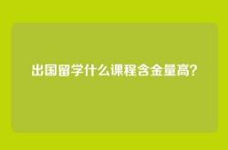 出国留学什么课程含金量高？