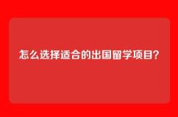 怎么选择适合的出国留学项目？