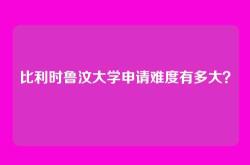 比利时鲁汶大学申请难度有多大？