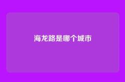 海龙路是哪个城市