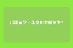 出国留学一年费用大概多少？