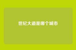 世纪大道是哪个城市