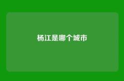 杨江是哪个城市