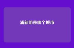 浦新路是哪个城市