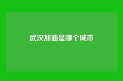 武汉加油是哪个城市