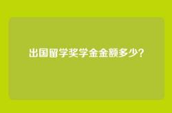 出国留学奖学金金额多少？