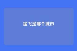 猛飞是哪个城市