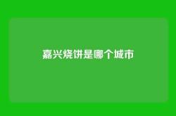 嘉兴烧饼是哪个城市