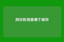 凤仪机场是哪个城市