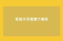 实验小学是哪个城市