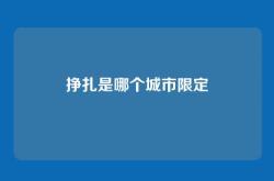 挣扎是哪个城市限定