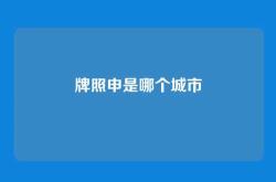 牌照申是哪个城市