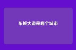 东城大道是哪个城市