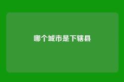 哪个城市是下辖县