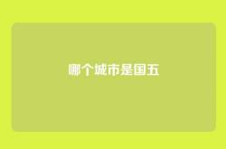 哪个城市是国五
