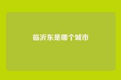 临沂东是哪个城市