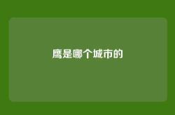 鹰是哪个城市的