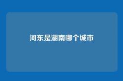 河东是湖南哪个城市