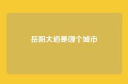 岳阳大道是哪个城市