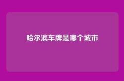 哈尔滨车牌是哪个城市