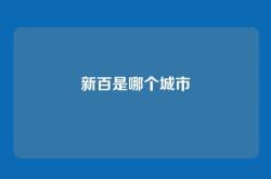 新百是哪个城市