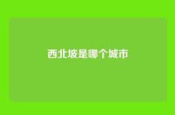 西北坡是哪个城市