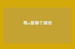 粤m是哪个城市