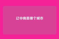 辽中南是哪个城市