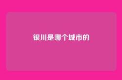 银川是哪个城市的