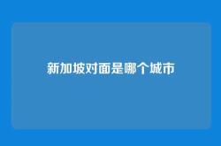 新加坡对面是哪个城市