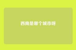 西南是哪个城市呀