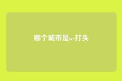 哪个城市是ws打头