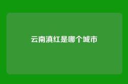 云南滇红是哪个城市