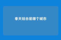 奉天硅谷是哪个城市