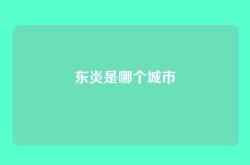 东炎是哪个城市