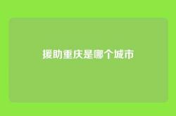 援助重庆是哪个城市