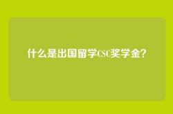 什么是出国留学CSC奖学金？