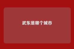 武东是哪个城市
