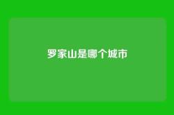 罗家山是哪个城市