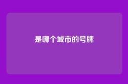 是哪个城市的号牌