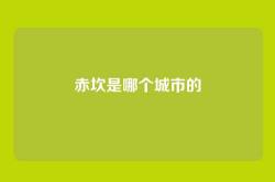 赤坎是哪个城市的