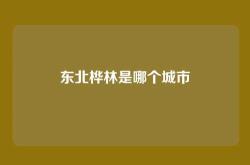 东北桦林是哪个城市