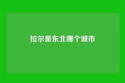 拉尔是东北哪个城市
