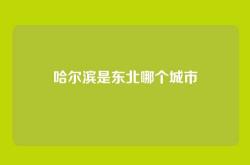 哈尔滨是东北哪个城市