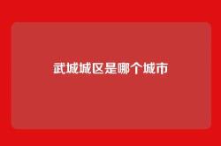 武城城区是哪个城市