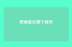 肥城是在哪个城市