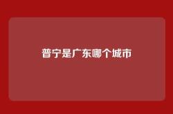 普宁是广东哪个城市